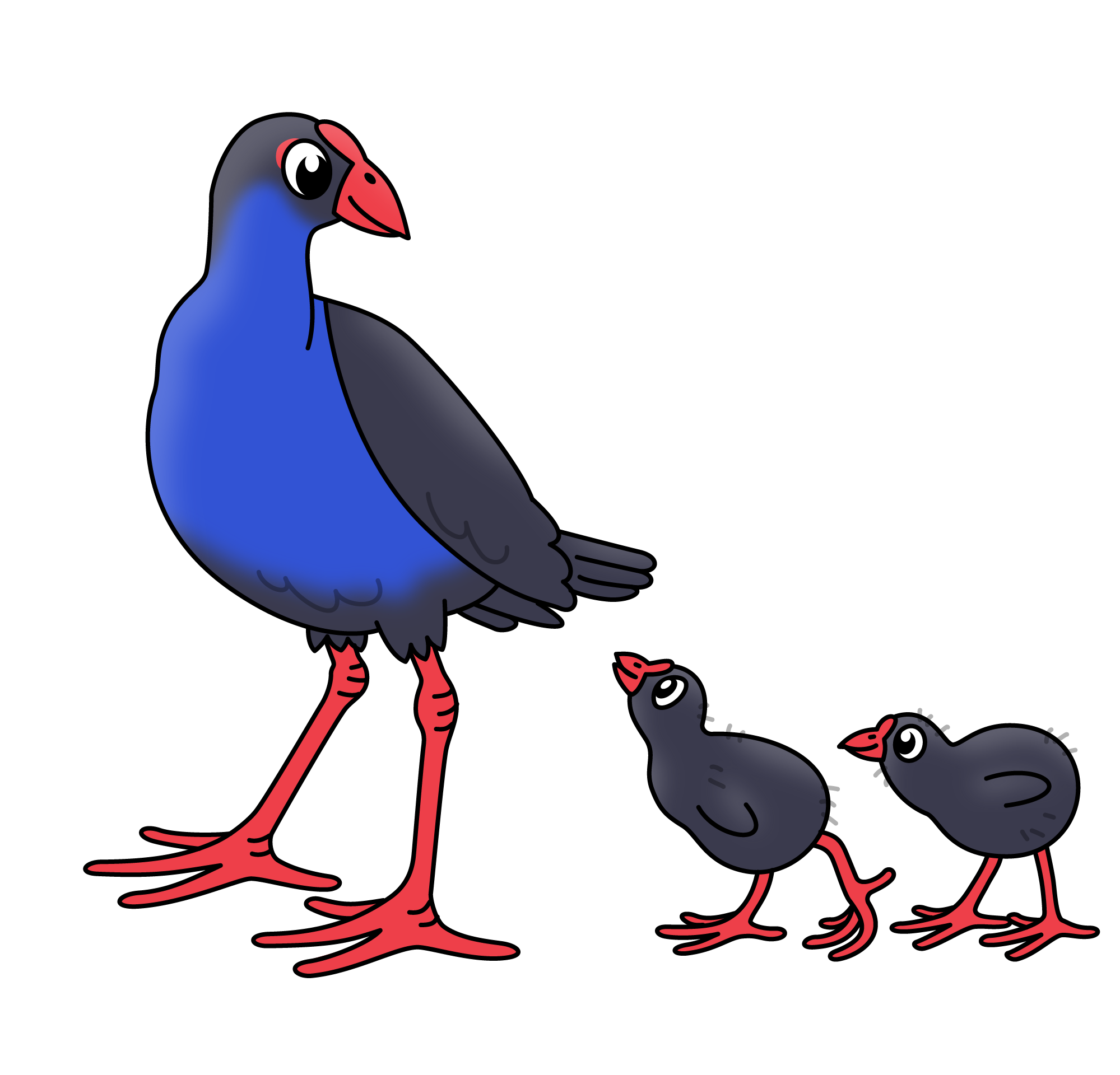 pukekos colour RGB 3